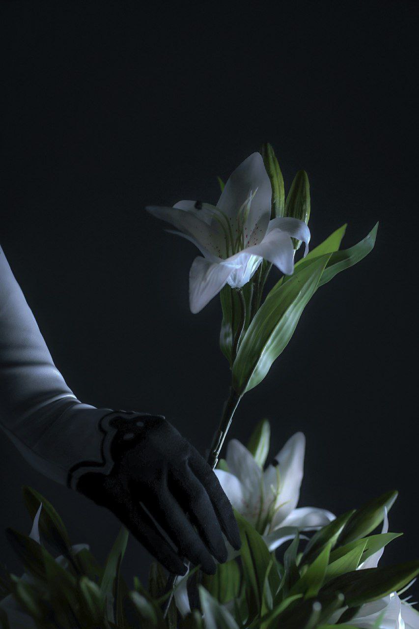久久久WWW成人免费看片